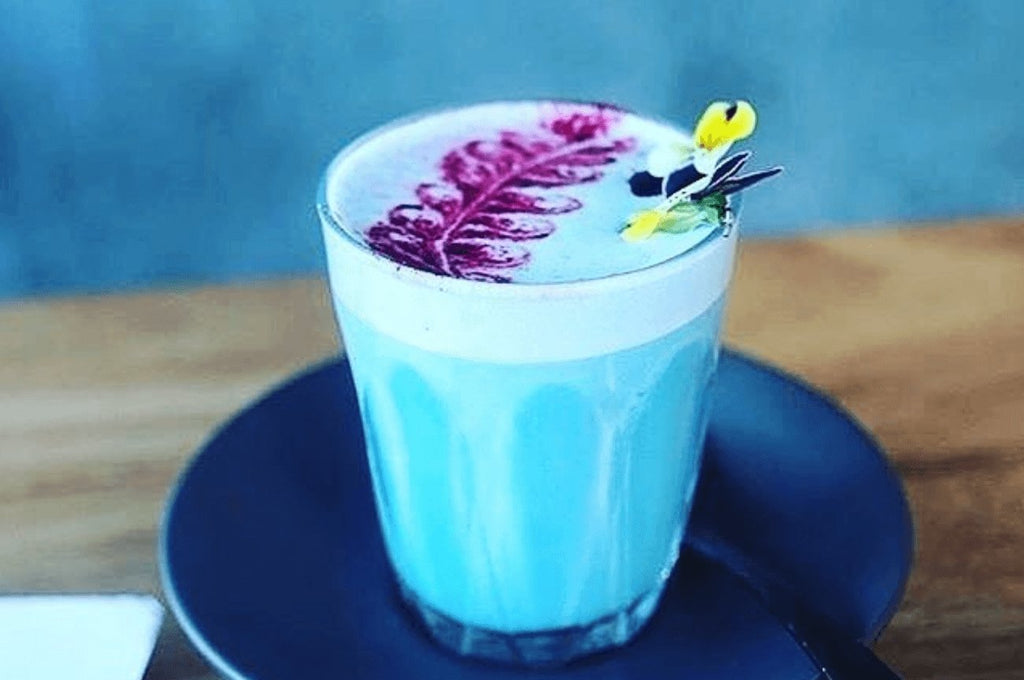 Butterfly Pea Flower Powder (Blue Matcha) - Lemon Lily Organic Tea